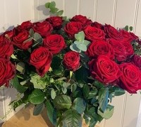 Romeo (36 Red, Pink or White Roses)